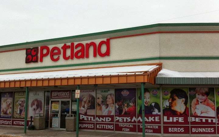 Petland Round Lake Beach | 815 E Rollins Rd, Round Lake Beach, IL 60073, USA | Phone: (847) 223-7731