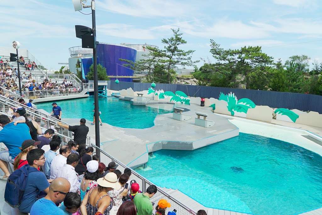 New York Aquarium | 602 Surf Ave, Brooklyn, NY 11224, USA | Phone: (718) 265-3474