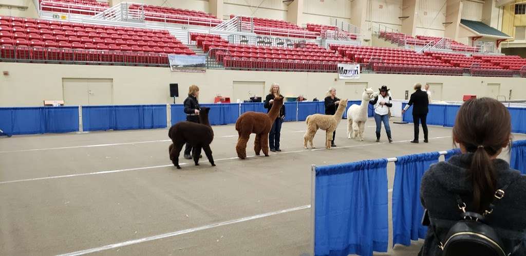 Cabarrus Arena | 4751 NC-49, Concord, NC 28025, USA