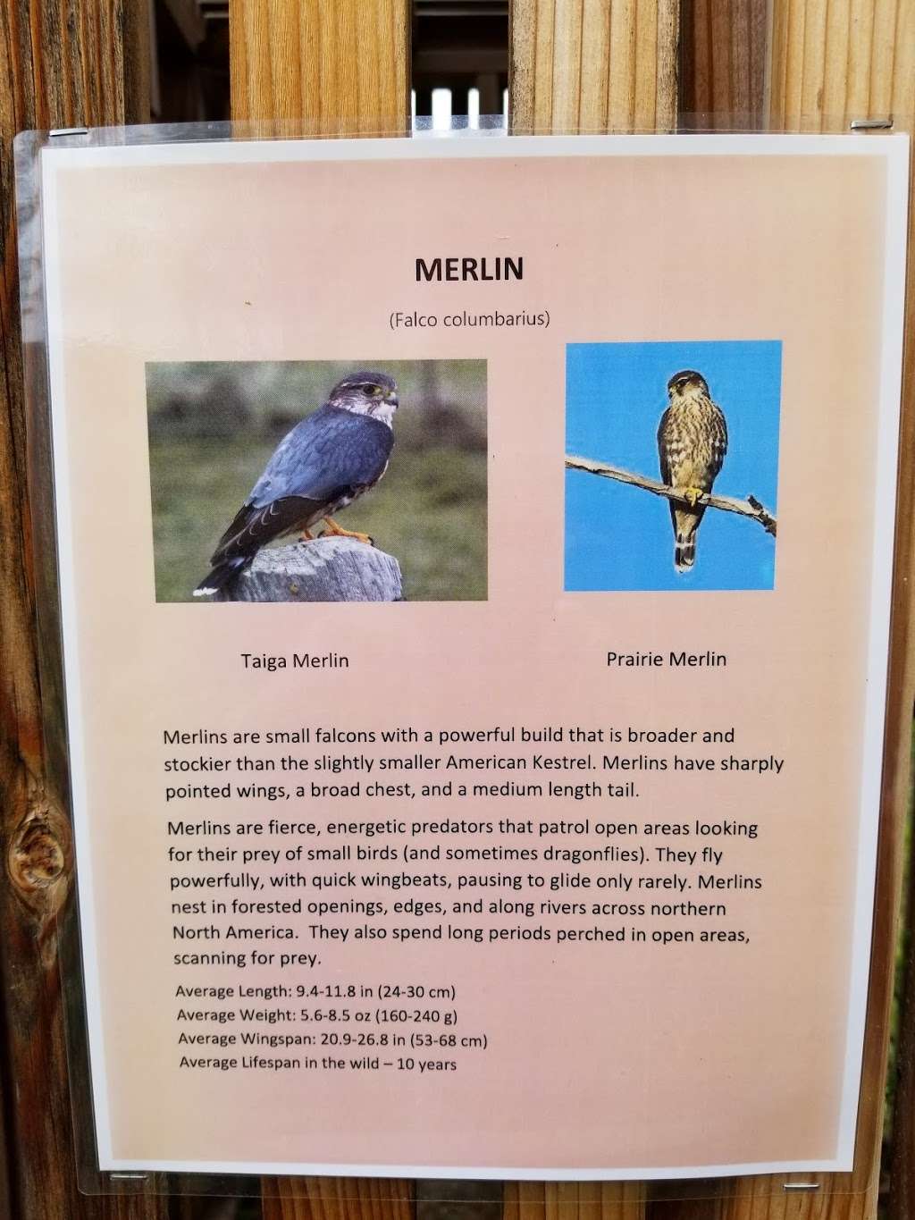 Birds of Prey Rehab Foundation | 2005 S 112th St, Broomfield, CO 80020 | Phone: (303) 460-0674