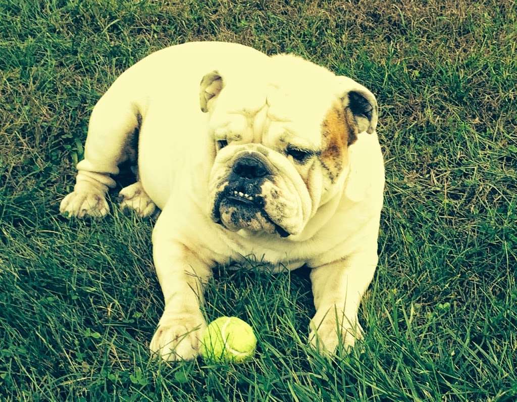 hanna's bed and biscuit, inc. 1400 Barren Rd, Oxford, PA 19363, USA