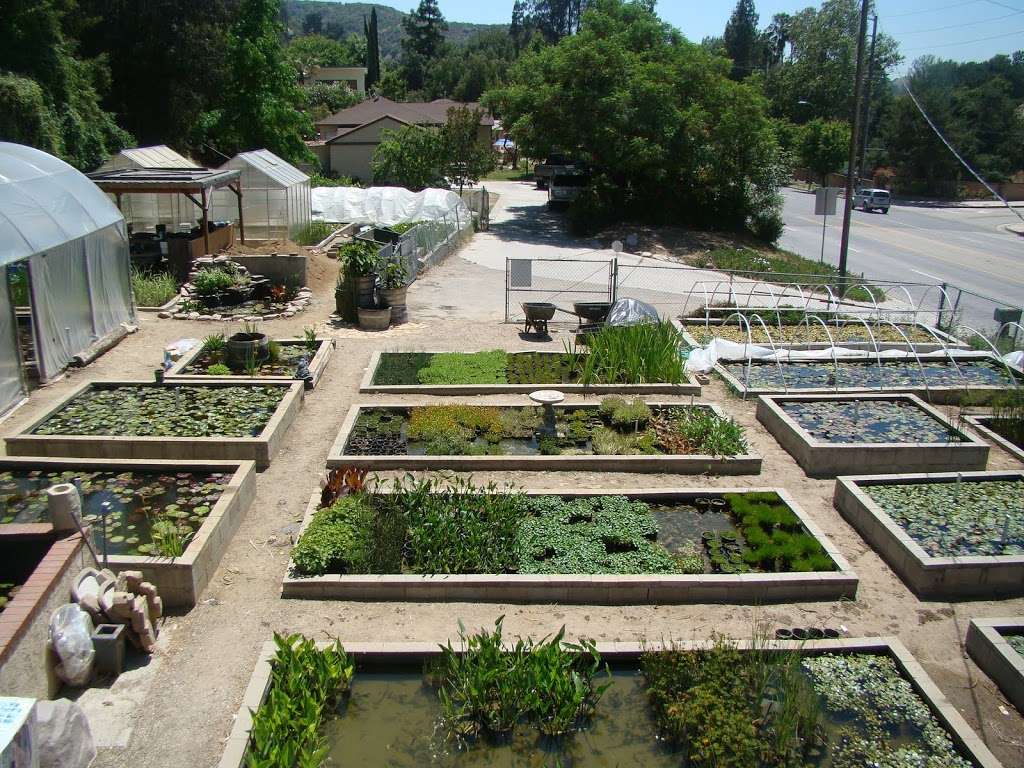 Sunland Water Gardens | 1530, 9948 Sunland Blvd, Sunland-Tujunga, CA 91040, USA | Phone: (818) 353-5131