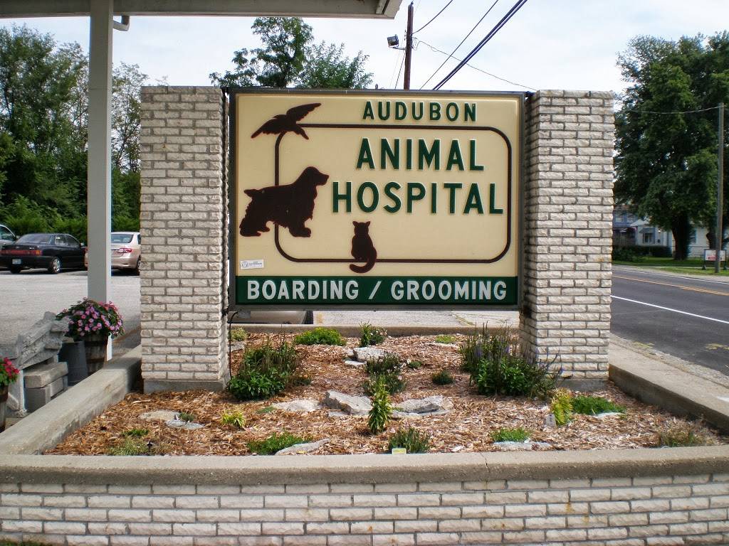 Audubon Animal Medical Center | 1311 Durrett Ln, Louisville, KY 40213 | Phone: (502) 361-2611