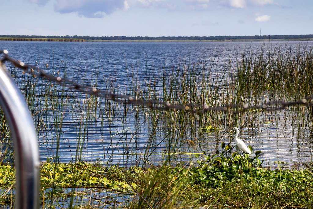 Black Hammock Airboat Rides | 2356 Black Hammock Fish Camp Rd, Oviedo, FL 32765 | Phone: (407) 365-1244