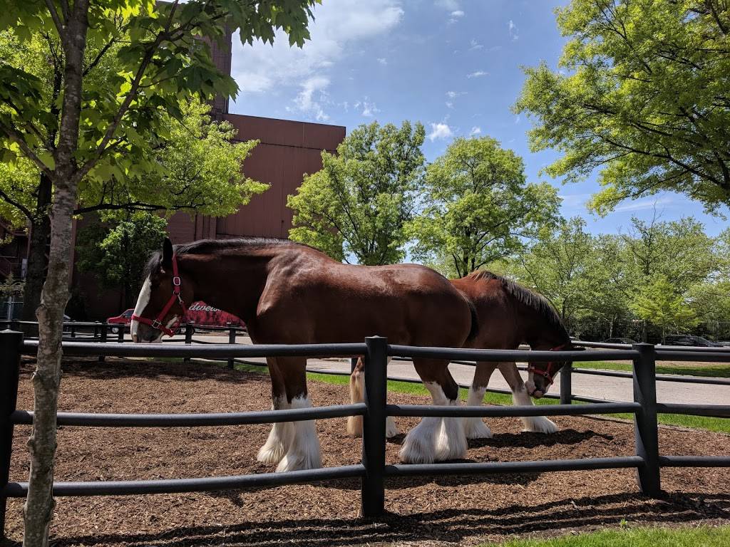 Anheuser-Busch Biergarten | 1127 Pestalozzi St, St. Louis, MO 63118, USA | Phone: (314) 577-2626