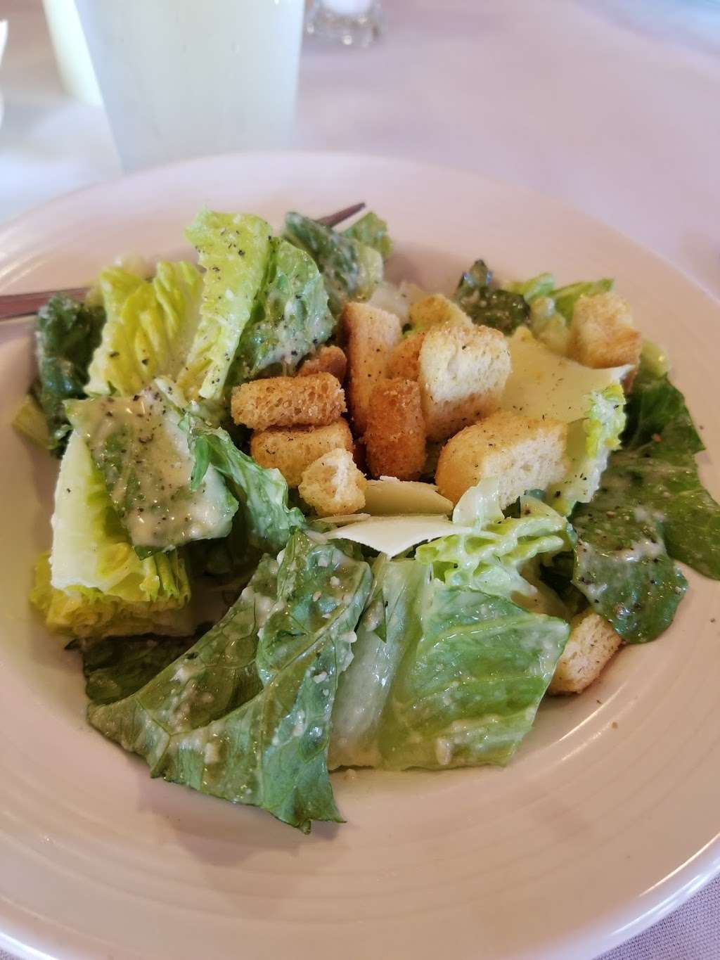 Olive Branch Mediteranean - Italian | 115 W 3rd Ave, Mt Dora, FL 32757, USA | Phone: (352) 729-6734