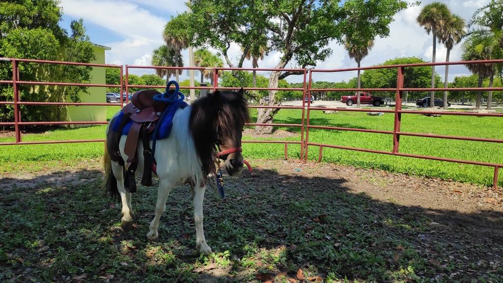 Crandon Park Carousel Shelters | Key Biscayne, FL 33149, USA | Phone: (305) 361-5421