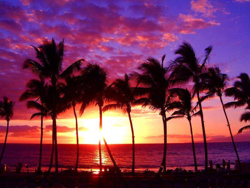 Hawaiian Beach Rentals | 550 Loihi Pl, Kaneohe, HI 96744, USA | Phone: (844) 261-0464