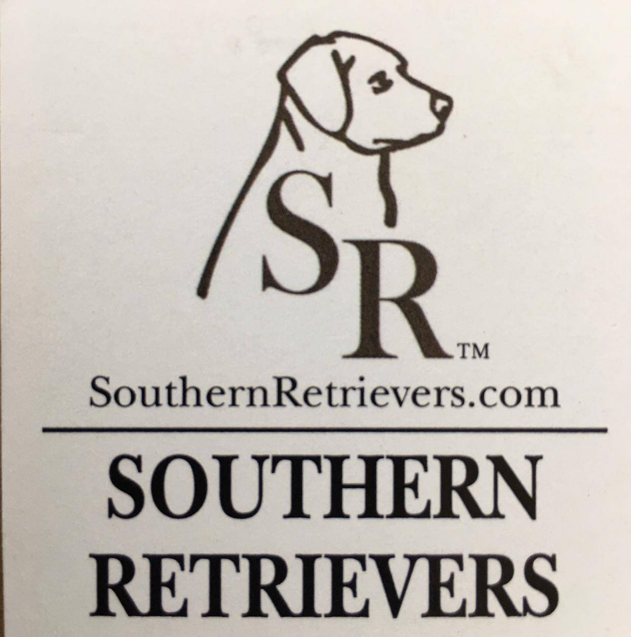 Southern Retrievers | 29810 COUNTY ROAD 42 DeLand, FL 32721, United States | Phone: (386) 334-2993