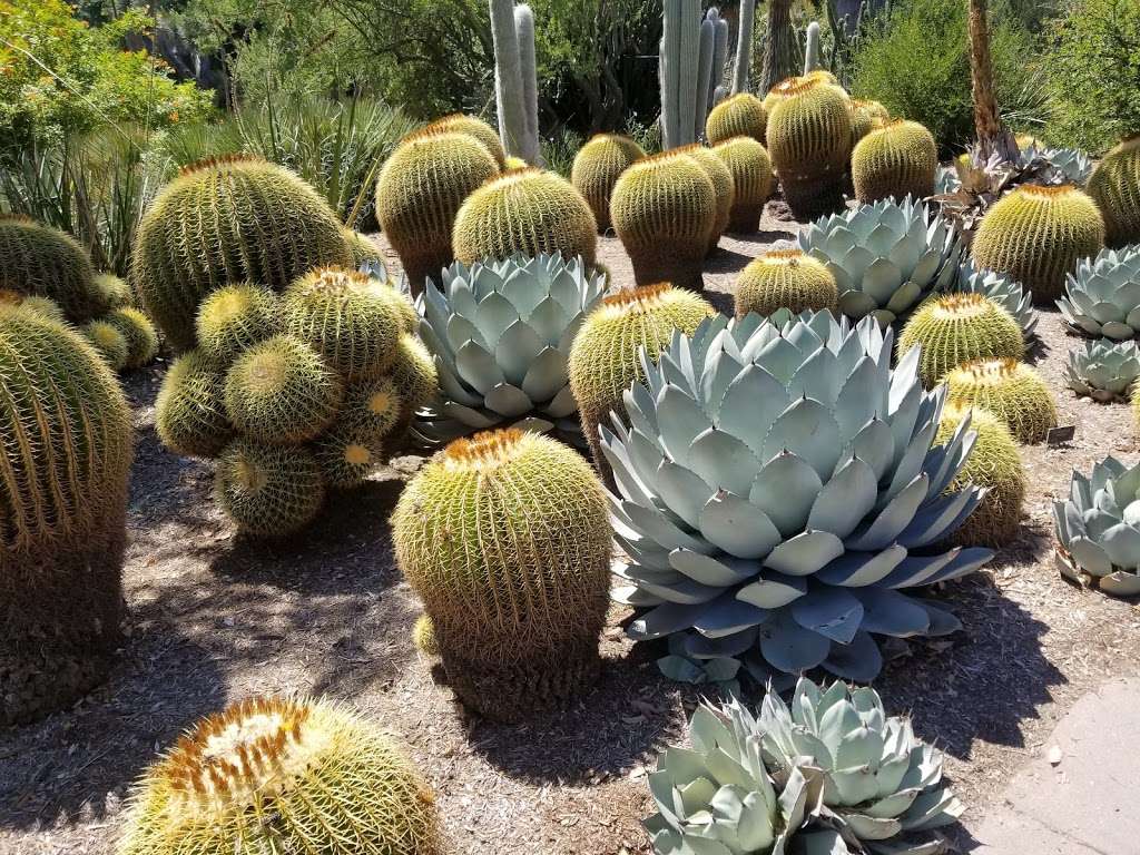 Desert Garden | San Marino, CA 91108, USA