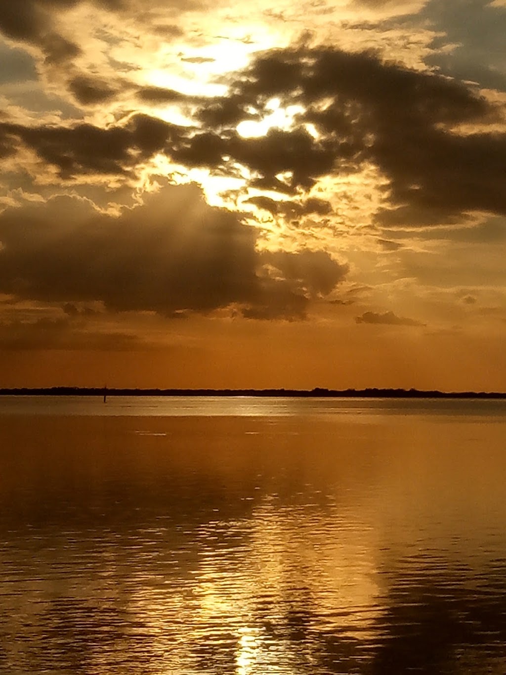 CPonies Beach Horseback Rides | St. Petersburg, FL 33715, USA | Phone: (941) 773-5196