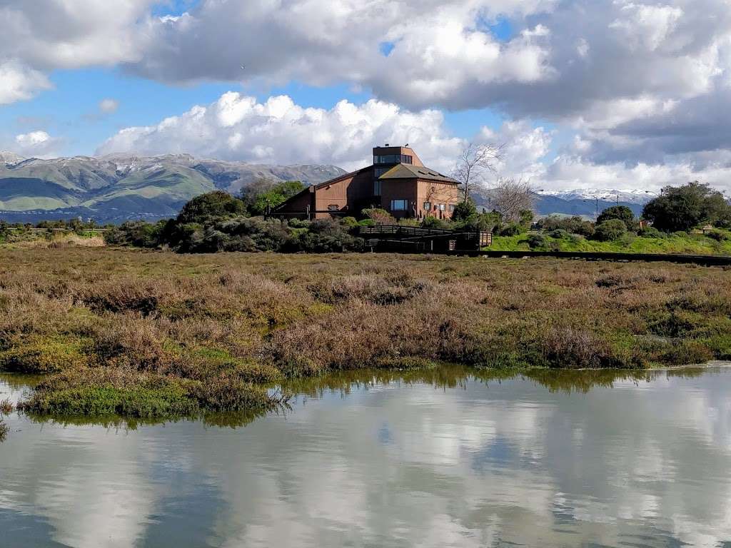 Don Edwards San Francisco Bay National Wildlife Refuge Environme | 1751 Grand Blvd, San Jose, CA 95002, USA | Phone: (408) 262-5513