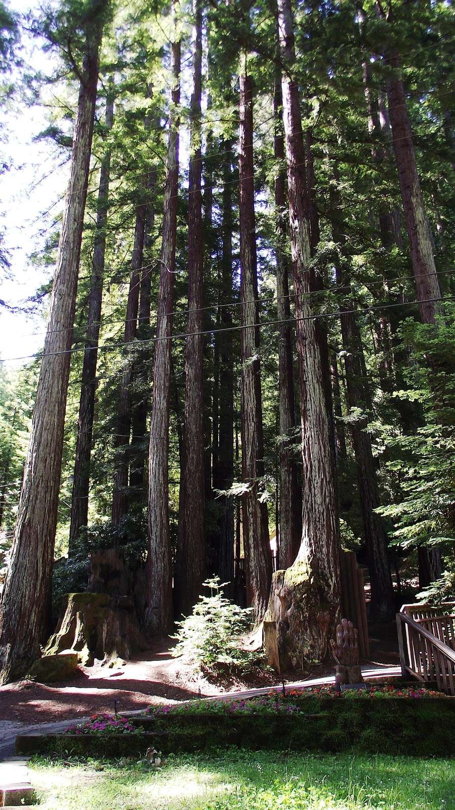 Redwood Christian Park | 15000 Two Bar Rd, Boulder Creek, CA 95006, USA | Phone: (831) 338-2134
