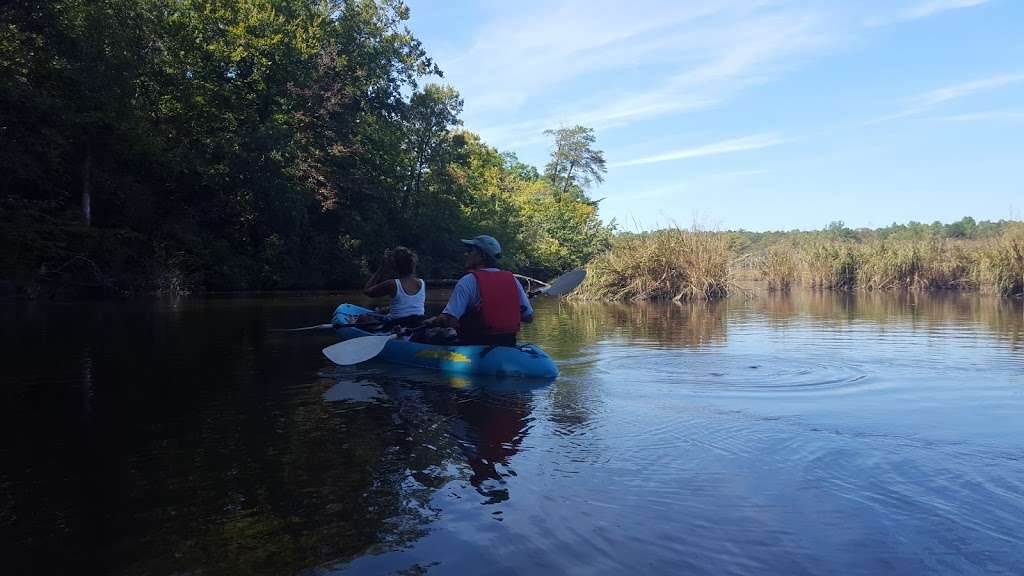 Bush Mill Stream Natural Area Preserve | Heathsville, VA 22473, USA | Phone: (804) 786-7951