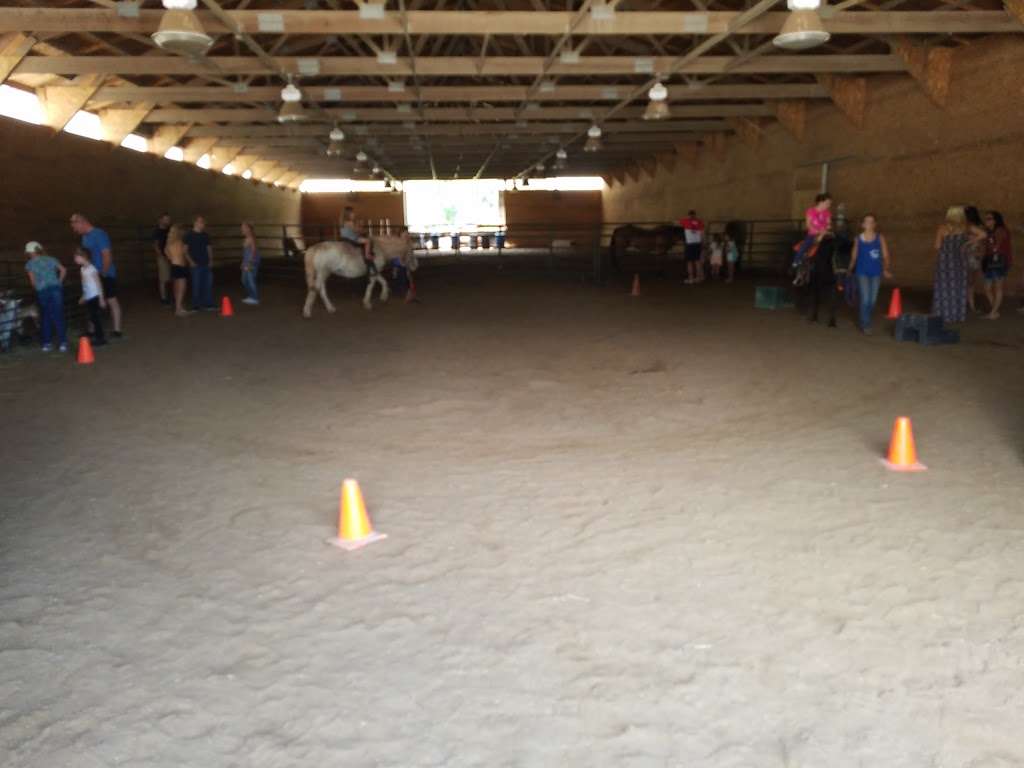 Sarahs Pony Rides | 8220 S Kean Ave, Willow Springs, IL 60514 | Phone: (630) 802-1316