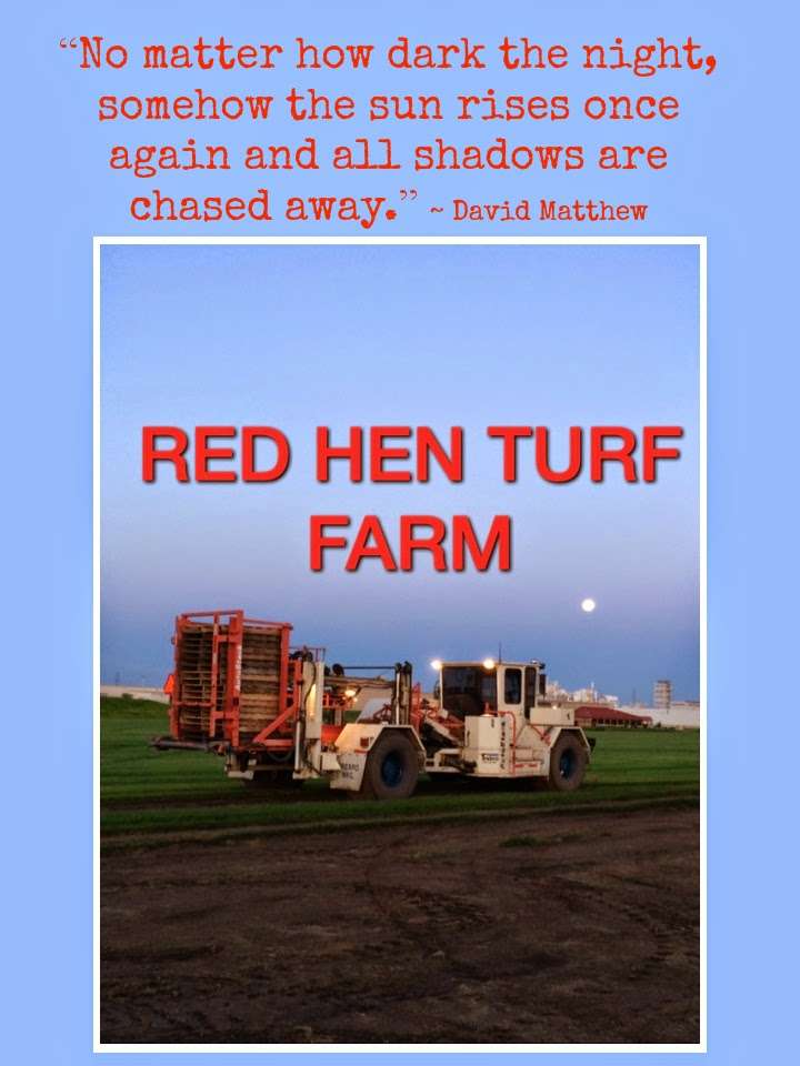 Red Hen Turf Farm | 29435 Darden Rd, New Carlisle, IN 46552, USA | Phone: (574) 232-6811