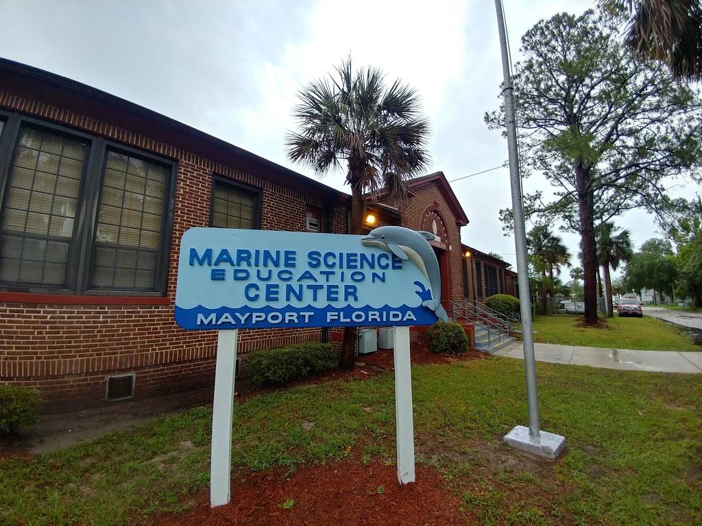 Marine Science Education Center | 1347 Palmer St, Atlantic Beach, FL 32233, USA | Phone: (904) 247-5973