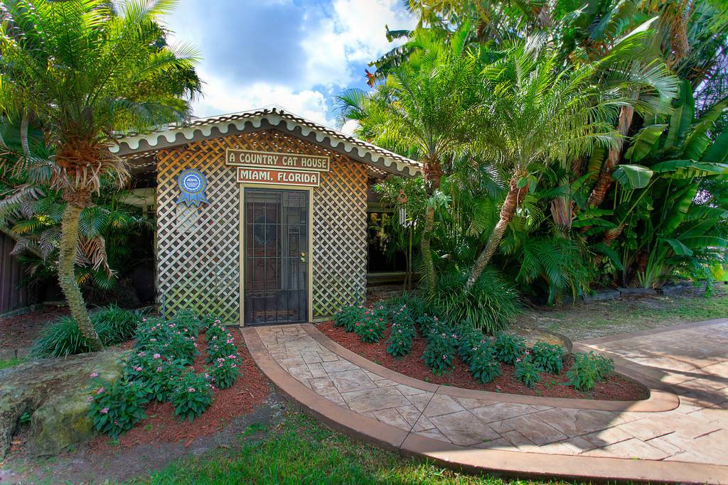 A Country Cat House | 12006 SW 64th St, Miami, FL 33183, USA | Phone: (305) 279-9770