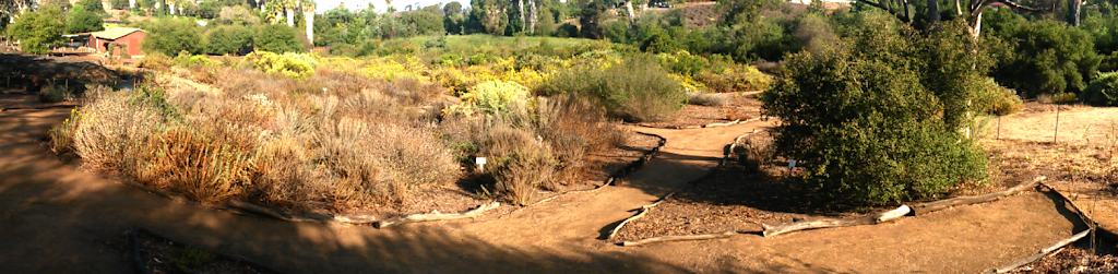 Anstine-Audubon Nature Preserve | 2437 Hutchison St, Vista, CA 92084, USA | Phone: (760) 295-1548