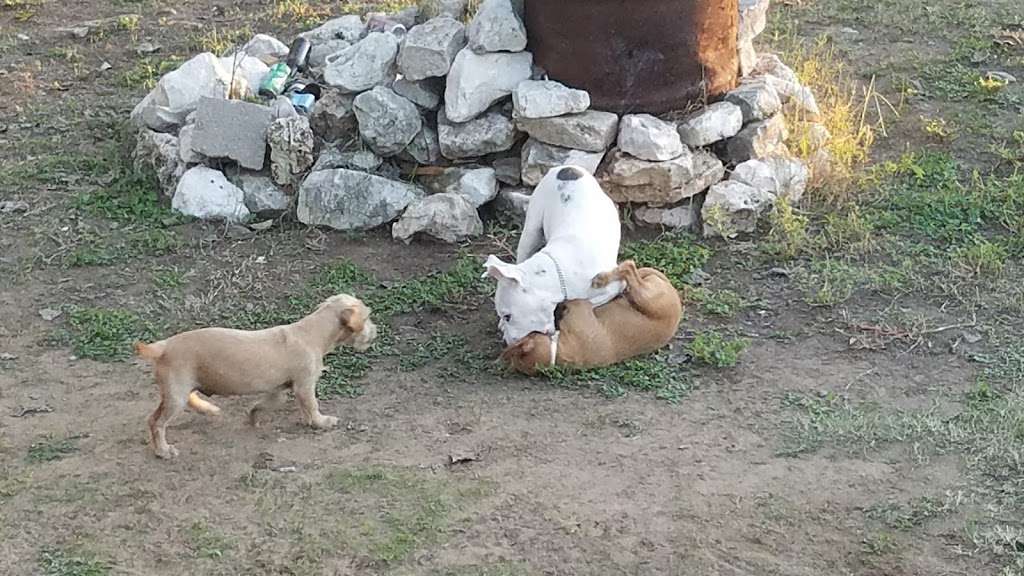 Stevie Barnes Trucking | 21250 Meadowbrook Dr, Lytle, TX 78052, USA | Phone: (830) 772-3318