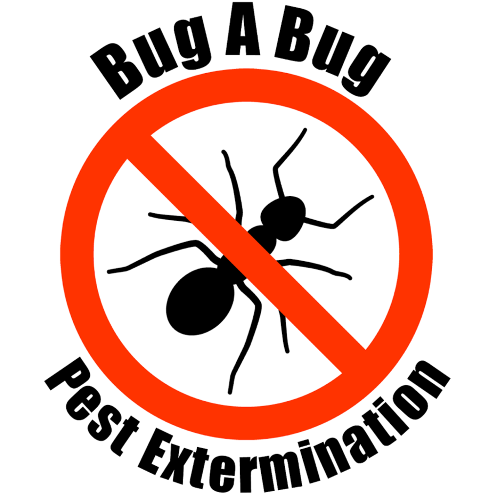 BUG A BUG PEST EXTERMINATION | 279 NE 43rd St, Pompano Beach, FL 33064 | Phone: (954) 790-6244