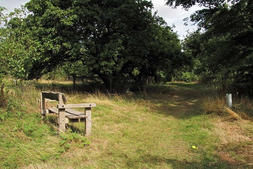 Tewin Orchard Nature Reserve | 2 Upper Green Rd, Tewin, Welwyn AL6 0LY, UK | Phone: 01727 858901