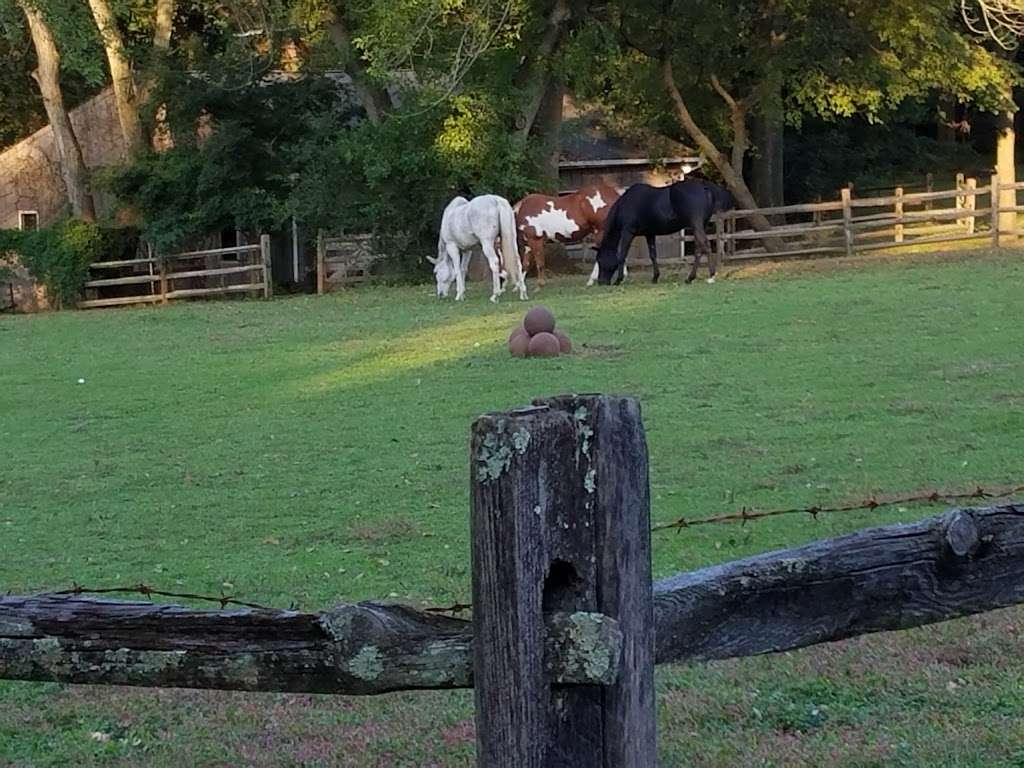 Fox Fodder Farm | 713 Rockland Rd, Rockland, DE 19732, USA