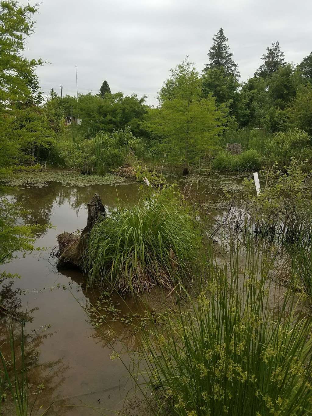 University of Delaware Botanic Gardens | 502 Mopar Dr, Newark, DE 19713, USA