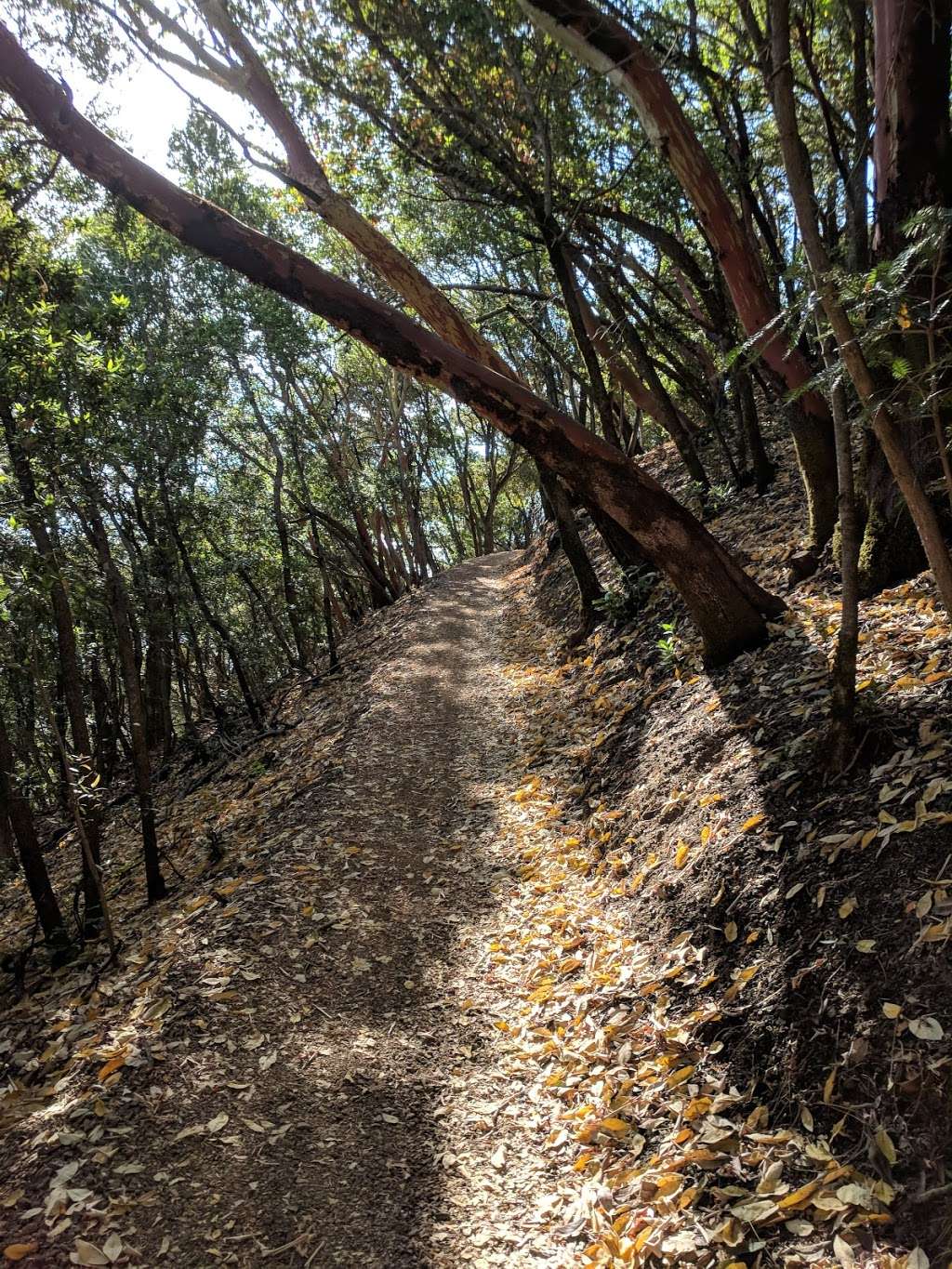 Sierra Azul Open Space Preserve Mt Umunhum Rd Parking Lot | San Jose, CA 95120, USA | Phone: (650) 691-1200