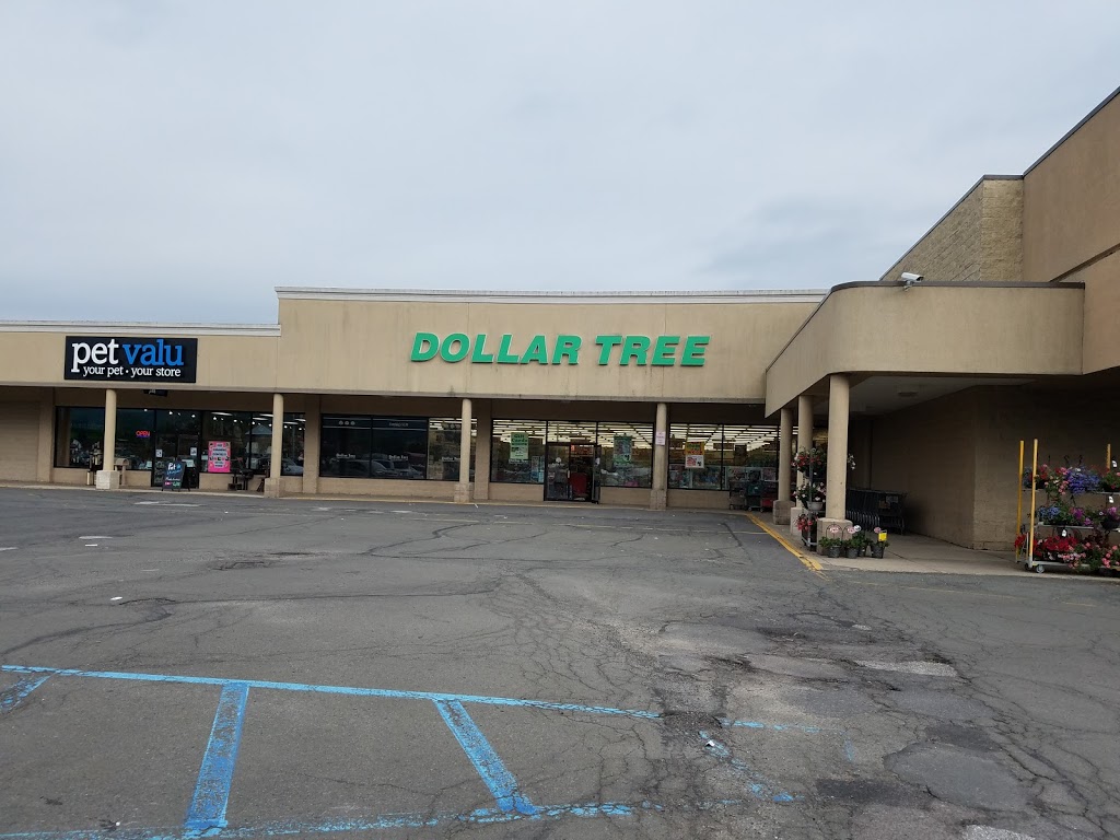 Dollar Tree | 1050 Wyoming Ave, Wyoming, PA 18644, USA | Phone: (570) 693-3924