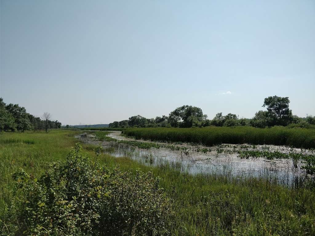 Illinois Beach Nature Preserve | N Sheridan Rd, Waukegan, IL 60087, USA | Phone: (847) 662-4811