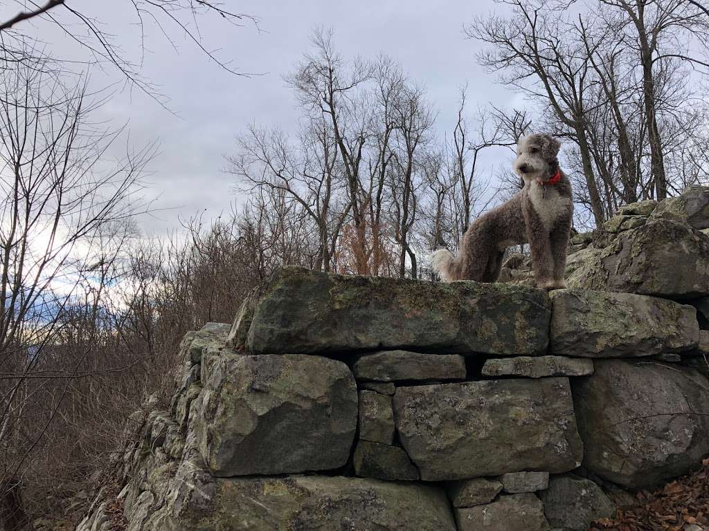 Ruins, Stone Fort | Knoxville, MD 21758, USA