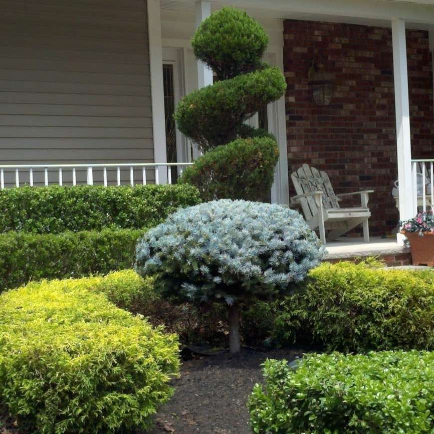 Todds Lawn Care, LLC | 9 Bruce Rd, Morganville, NJ 07751, USA | Phone: (732) 536-8383