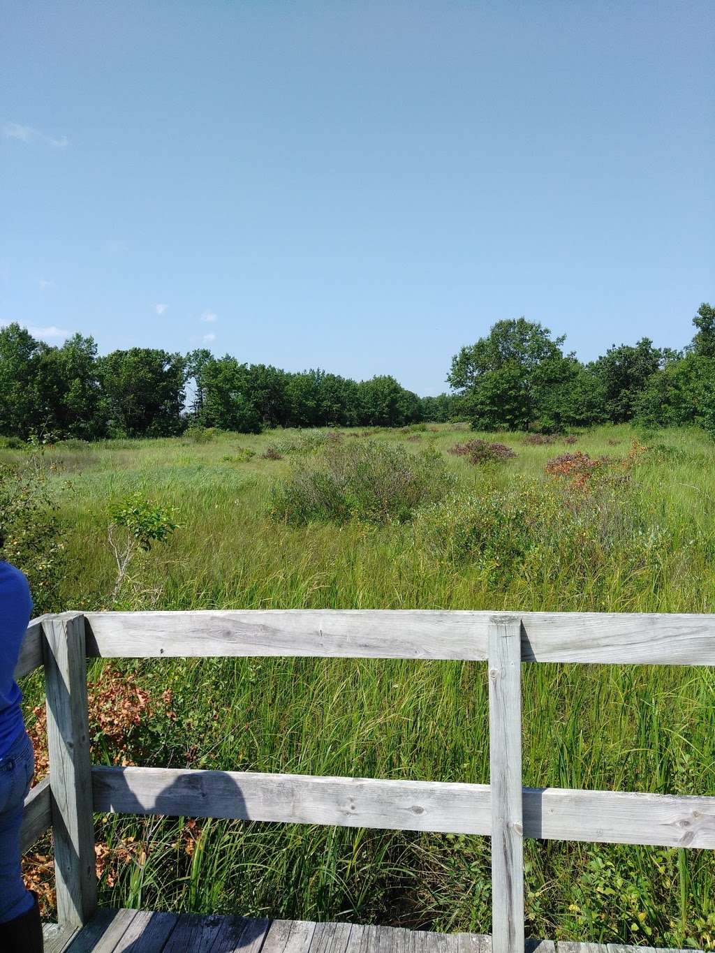 Illinois Beach Nature Preserve | N Sheridan Rd, Waukegan, IL 60087, USA | Phone: (847) 662-4811