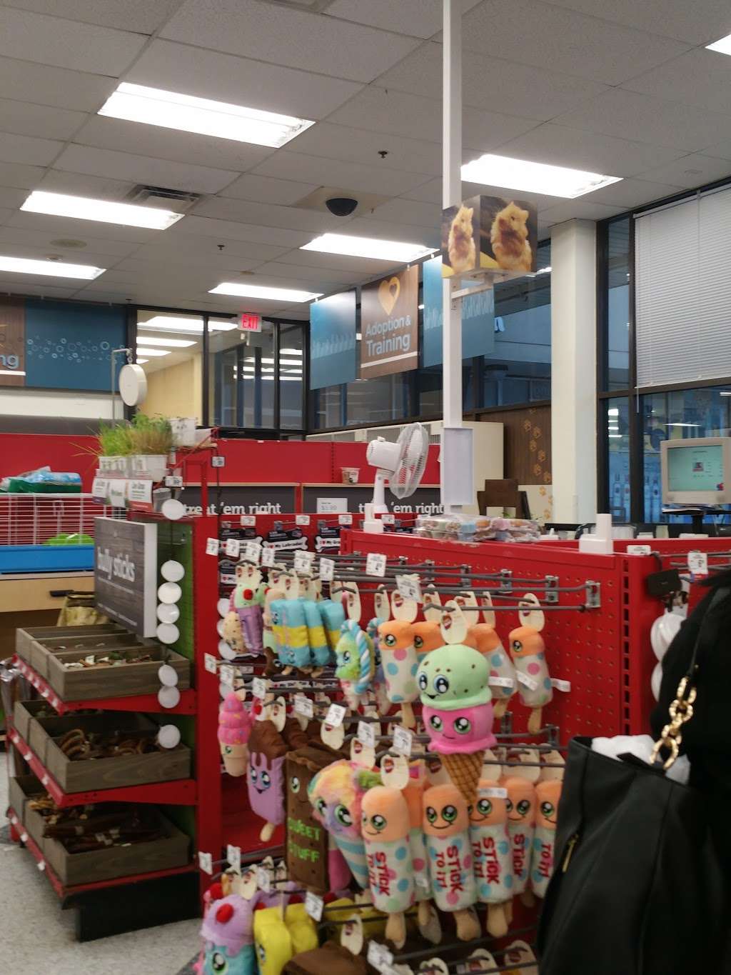 Petco Animal Supplies | 5500 Sunrise Hwy, Massapequa, NY 11758 | Phone: (516) 797-5727