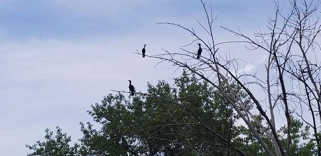 Jim Hamm Nature Area | 1701 E County Line Rd, Longmont, CO 80504, USA | Phone: (303) 651-8446