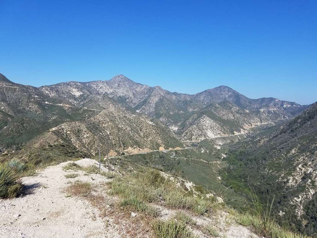 Cedar Overlook | Tujunga, CA 91042