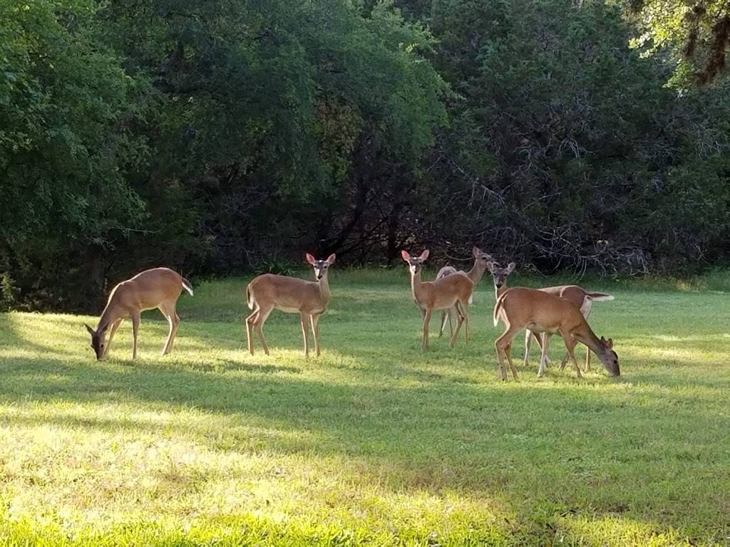 Deer Run Bed and Breakfast | 20 Long Creek Rd, Austin, TX 78737, USA | Phone: (512) 633-5595
