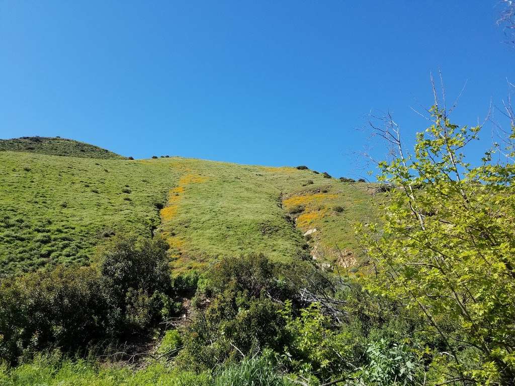 Ray Miller Trailhead | Malibu, CA 90265, USA