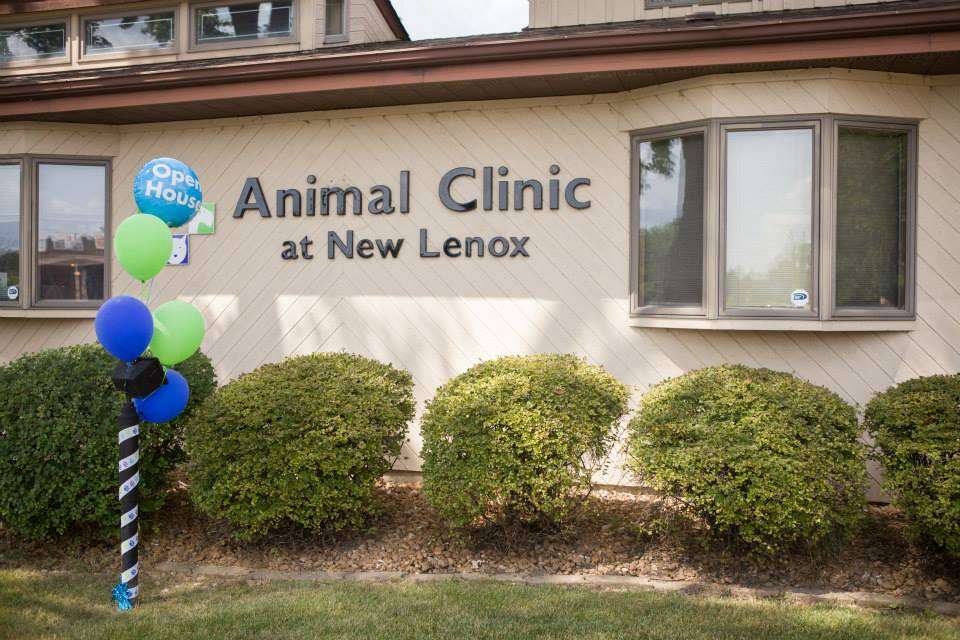 Animal Clinic at New Lenox | 1328 N Cedar Rd, New Lenox, IL 60451, USA | Phone: (815) 485-4477
