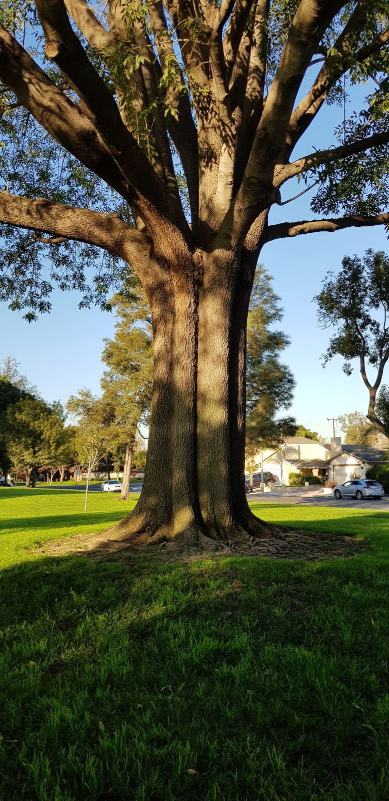 Manzanita Park | Cypress, CA 90630, USA