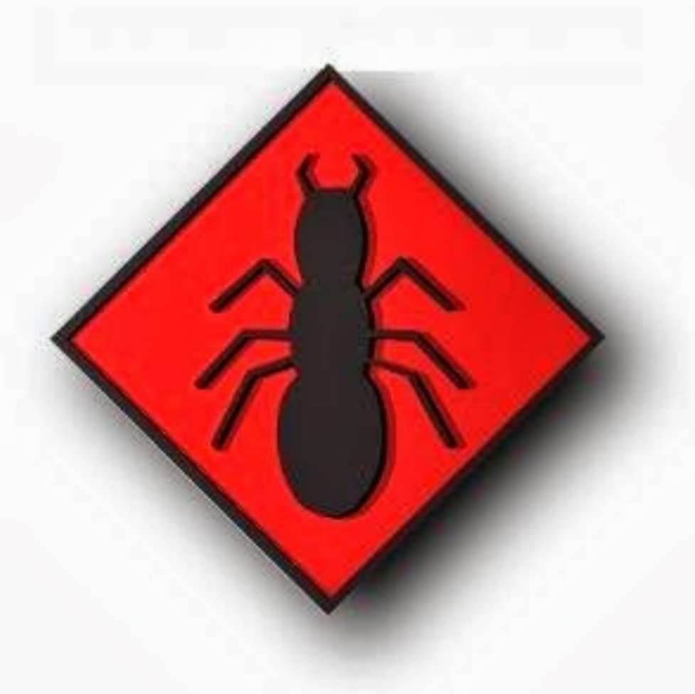 Unique Pest Services Inc | 2988 NW 89th Terrace, Coral Springs, FL 33065, USA | Phone: (954) 642-2385