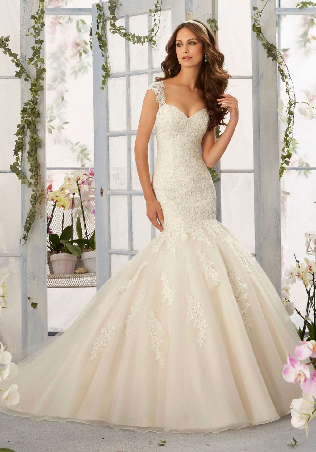 Evas Bridal of Lombard | 600 E Roosevelt Rd, Lombard, IL 60148 | Phone: (630) 424-8811