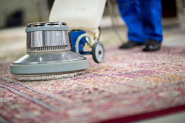 Ideal Carpet Care | 10266 Foothill Blvd, Lake View Terrace, CA 91342 | Phone: (818) 975-3424