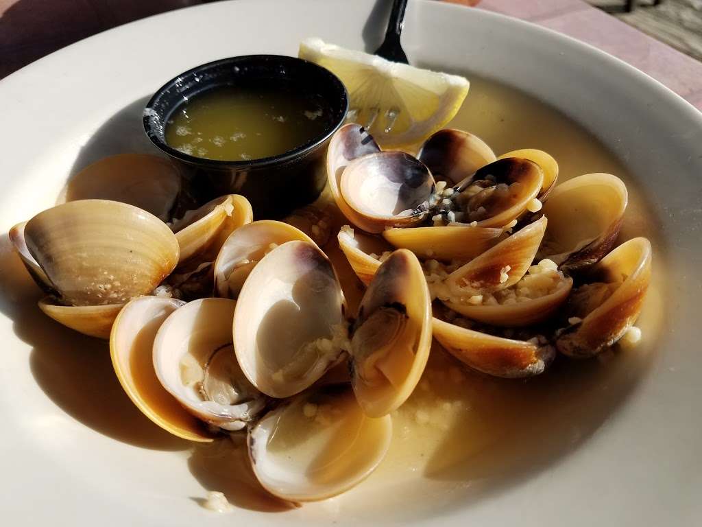 Nauti Goose Restaurant | 200 W Cherry St, North East, MD 21901, USA | Phone: (410) 287-7880