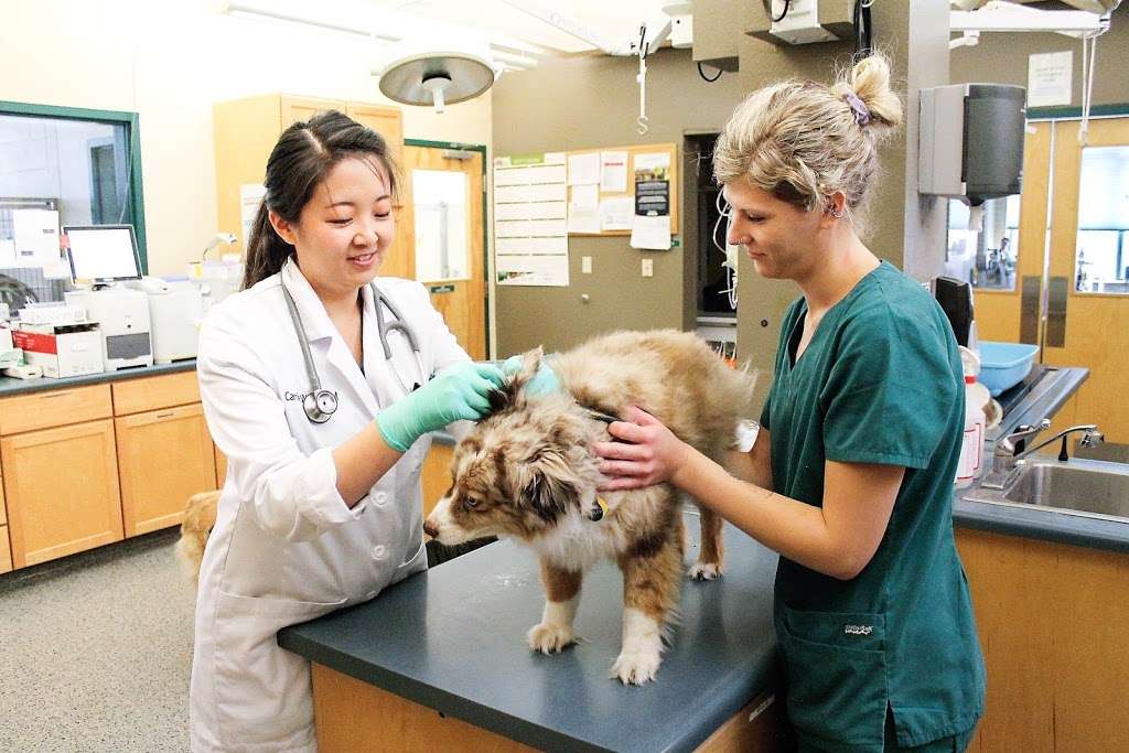 Indian Tree Animal Hospital | 7778 Vance Dr, Arvada, CO 80003, USA | Phone: (303) 420-4422