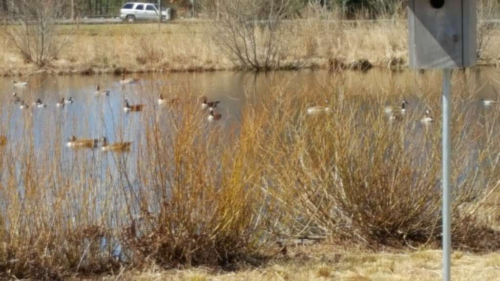 Freedom Fields County Park | 1160 Route 539, Little Egg Harbor Township, NJ 08087, USA | Phone: (609) 296-5329