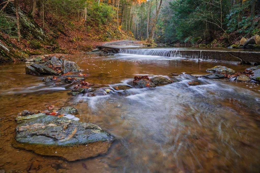 Fishing Creek Nature Preserve | Fishing Creek Hollow Rd, Drumore, PA 17518, USA | Phone: (717) 392-7891