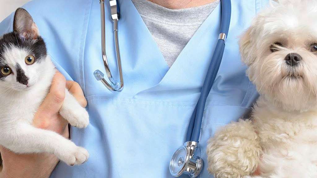 Brazos Bend Animal Hospital 3361 721 Farm To Market 359 Richmond Tx 77406 Usa