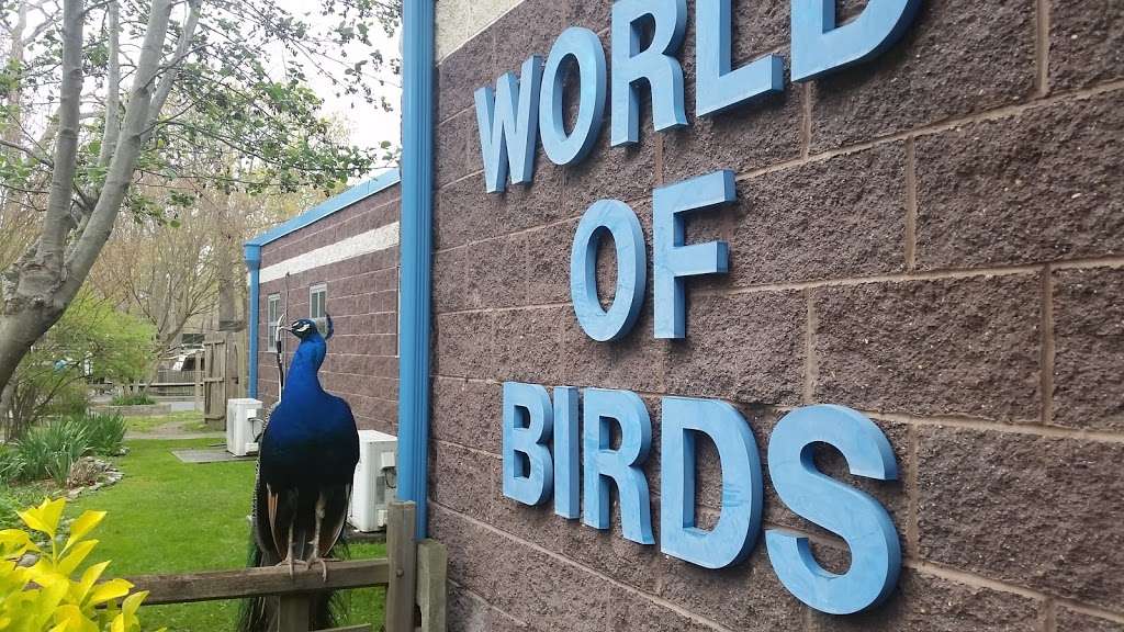 World of Birds Aviary | 707 U.S. 9, Cape May Court House, NJ 08210, USA